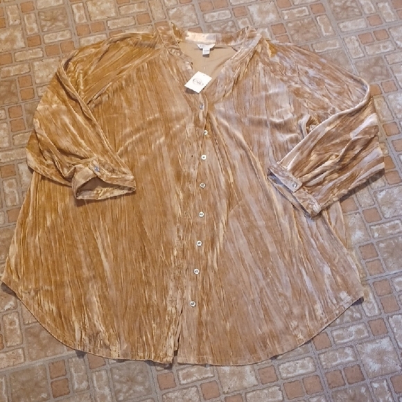 Cato Tops - Cato Velvet Button Down Women's Shirt Size 18-20 3/4 Sleeves